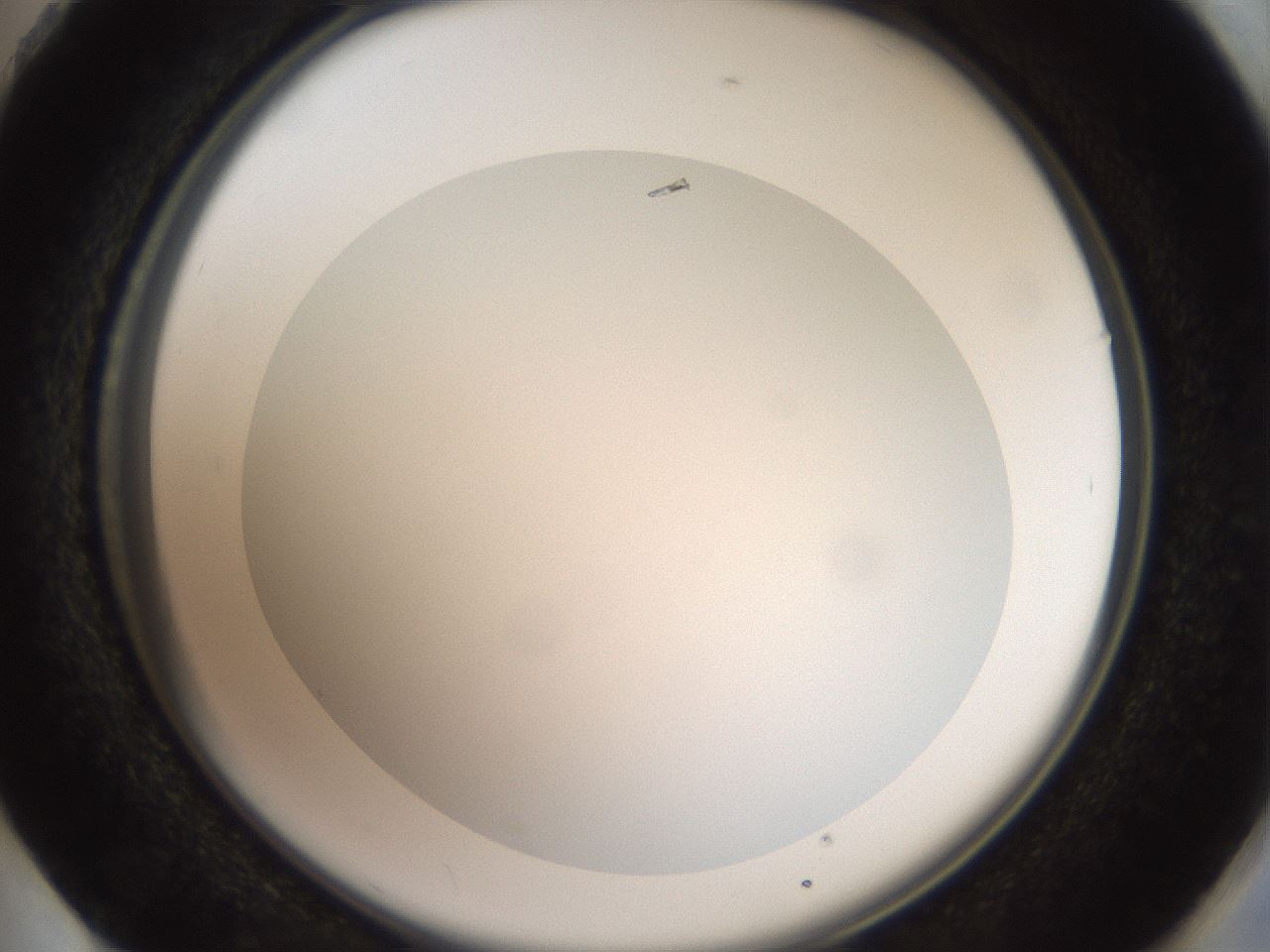 folderID41_plateID2041_batchID9006_wellNum73_profileID1_d2_r137416_ef.jpg