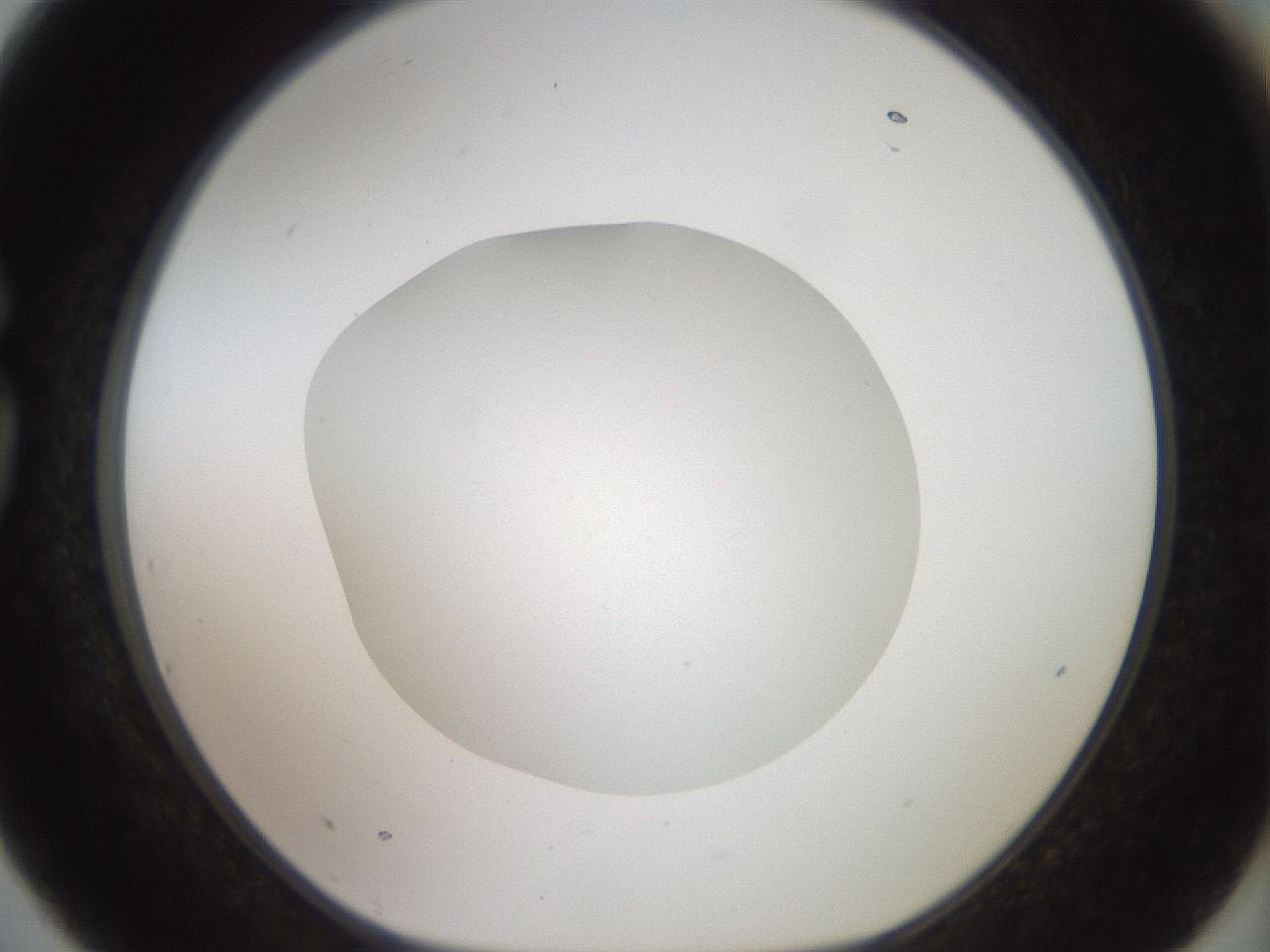 folderID41_plateID2041_batchID9006_wellNum75_profileID1_d1_r137419_ef.jpg