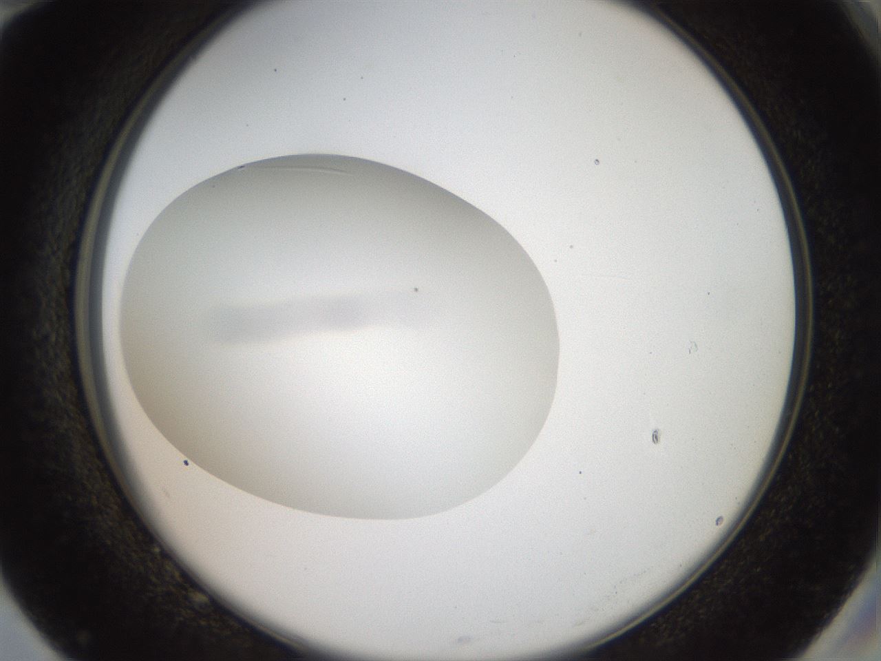folderID41_plateID2041_batchID9006_wellNum82_profileID1_d2_r137434_ef.jpg