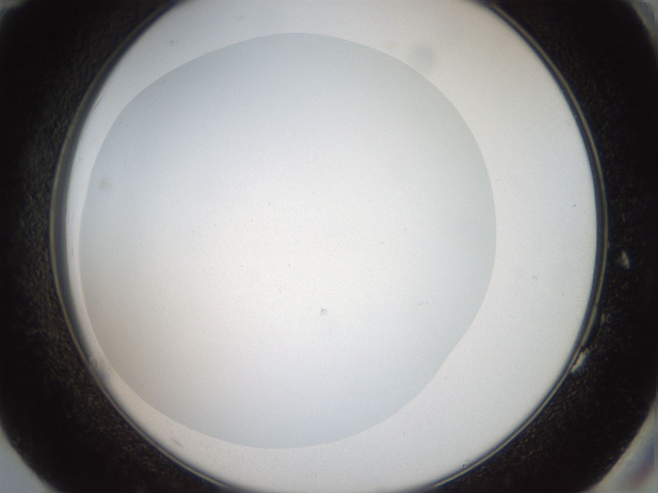 folderID41_plateID2041_batchID9006_wellNum83_profileID1_d2_r137436_ef.jpg
