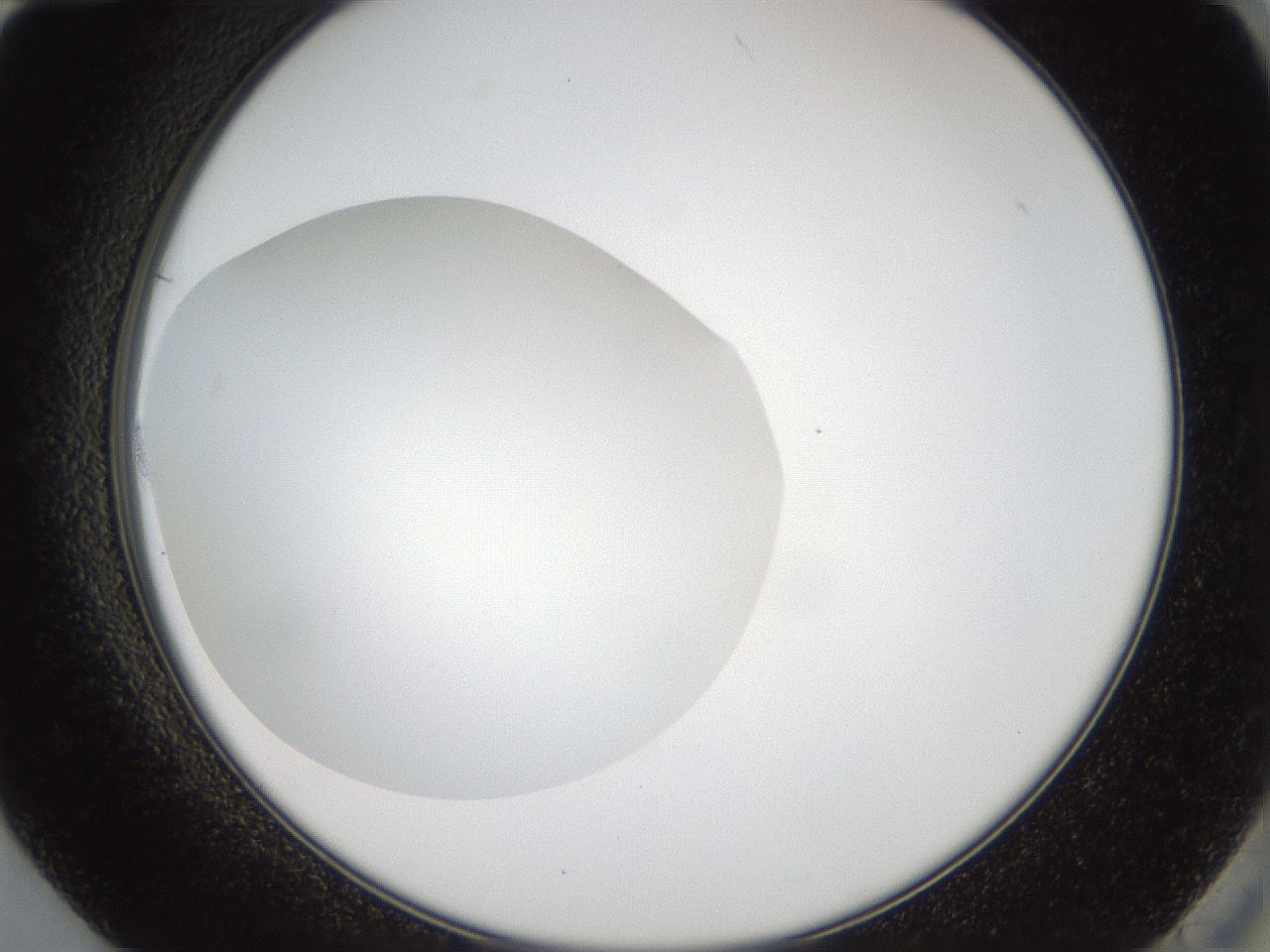 folderID41_plateID2041_batchID9006_wellNum84_profileID1_d2_r137438_ef.jpg