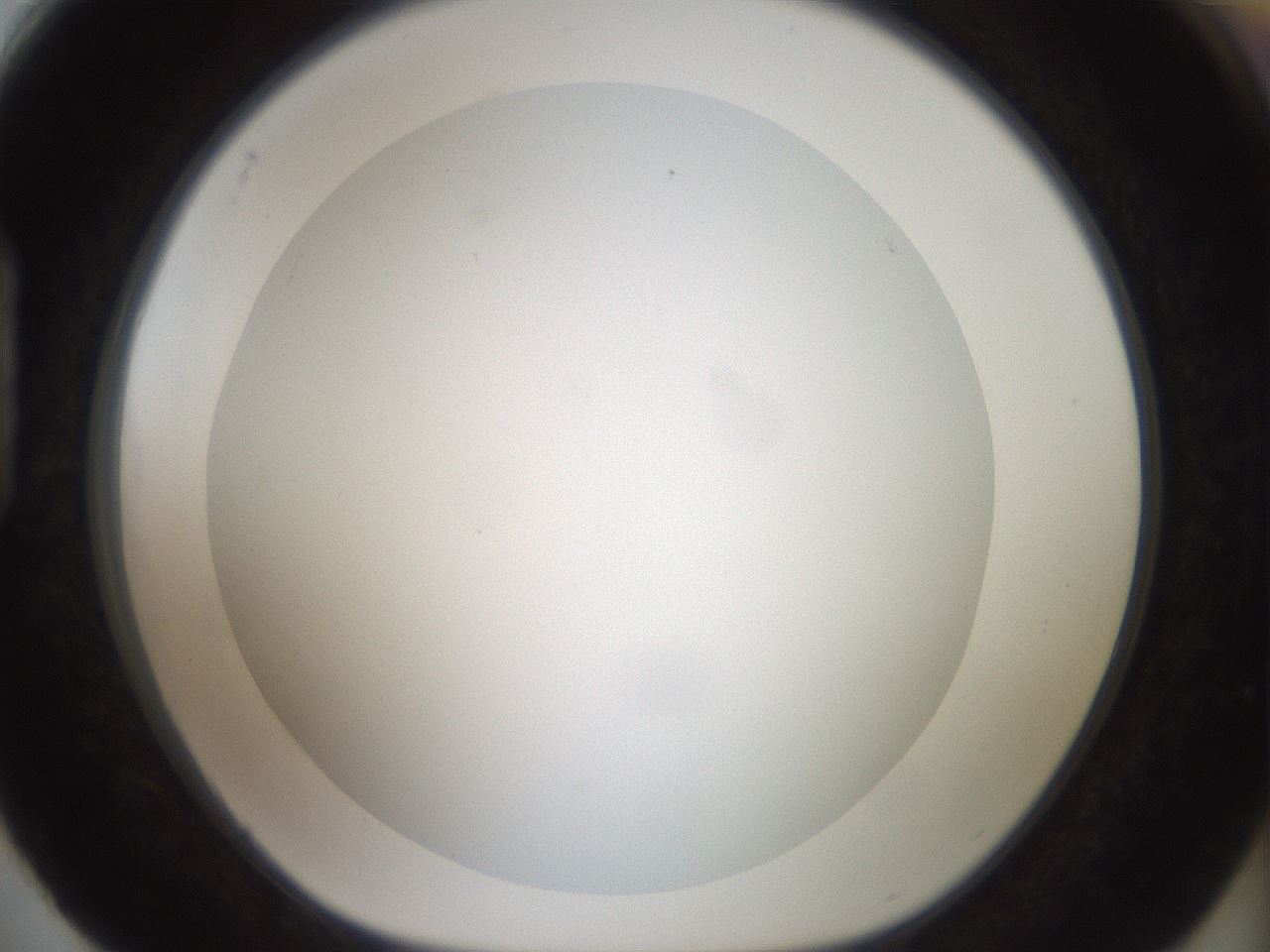 folderID41_plateID2041_batchID9006_wellNum88_profileID1_d1_r137445_ef.jpg