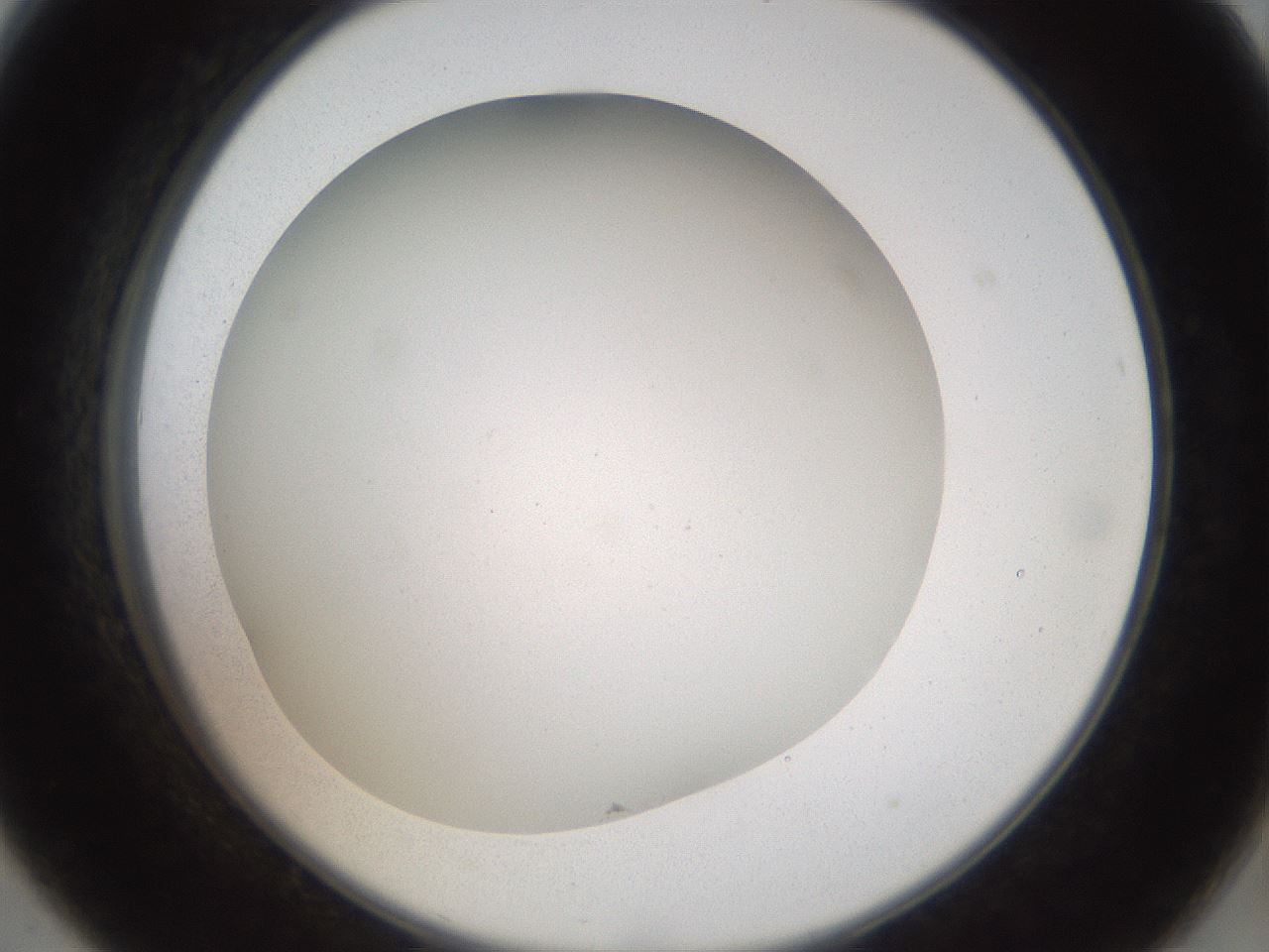 folderID41_plateID2041_batchID9006_wellNum8_profileID1_d2_r137286_ef.jpg