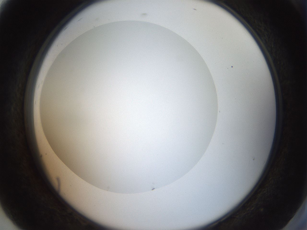 folderID41_plateID2041_batchID9006_wellNum92_profileID1_d2_r137454_ef.jpg