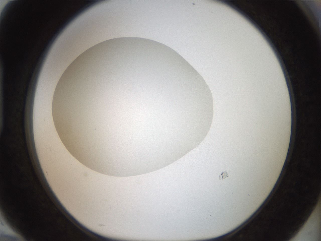 folderID41_plateID2041_batchID9006_wellNum94_profileID1_d1_r137457_ef.jpg