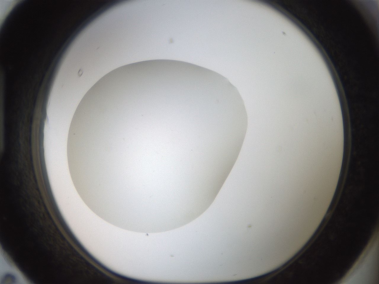folderID41_plateID2041_batchID9006_wellNum95_profileID1_d1_r137459_ef.jpg