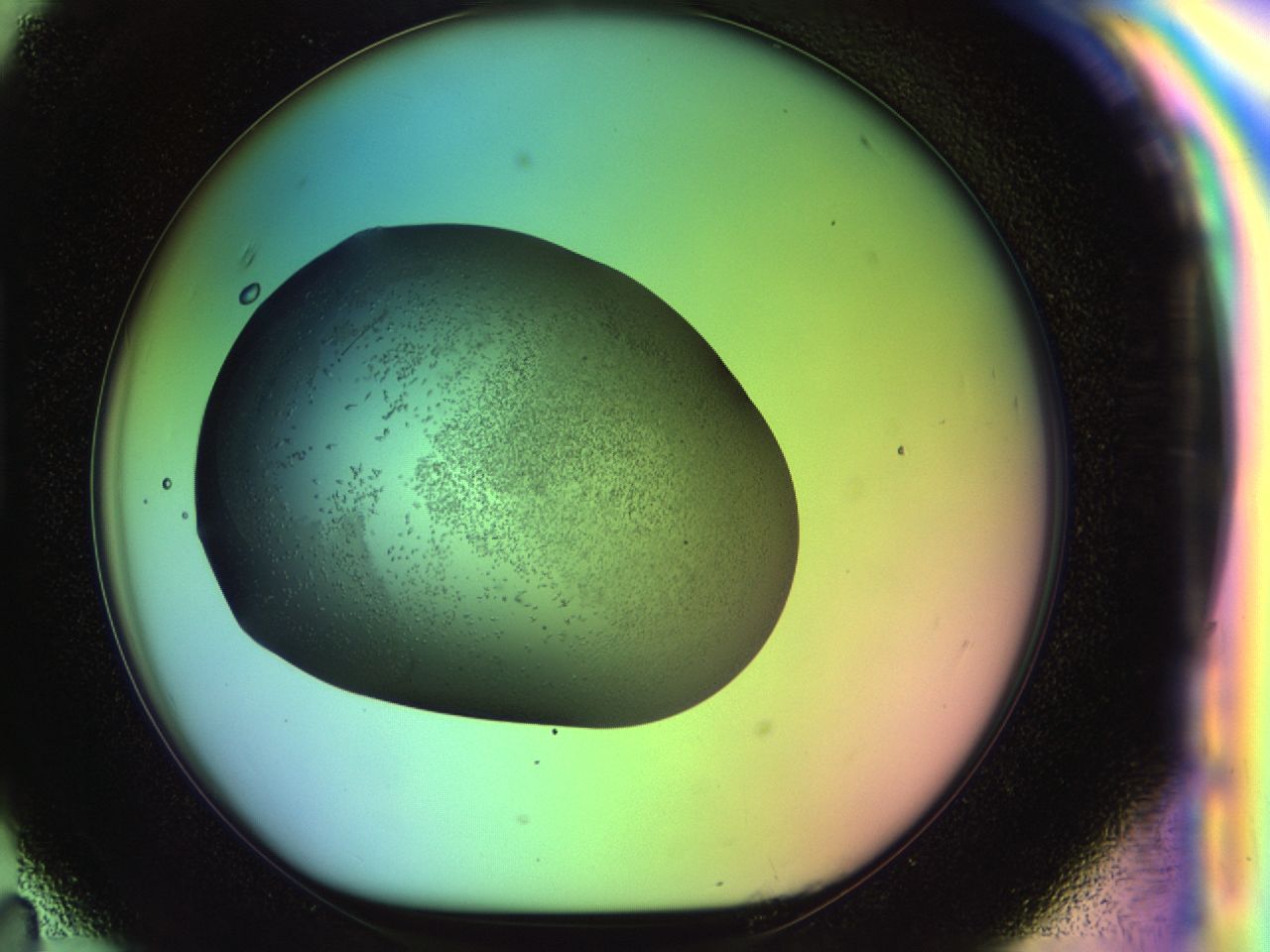02my_H11_ImagerDefaults_6.jpg