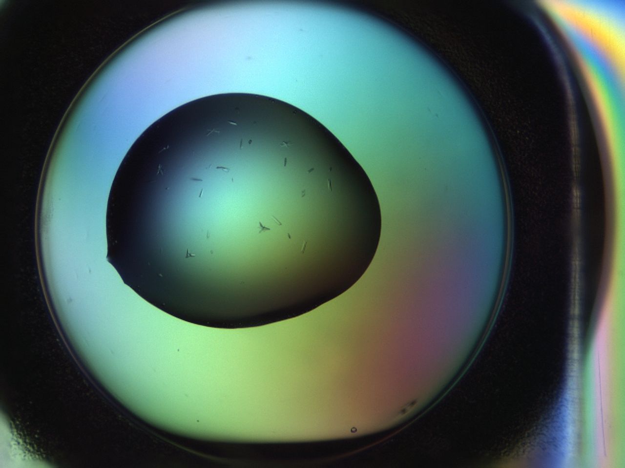 02n2_G5_ImagerDefaults_6.jpg