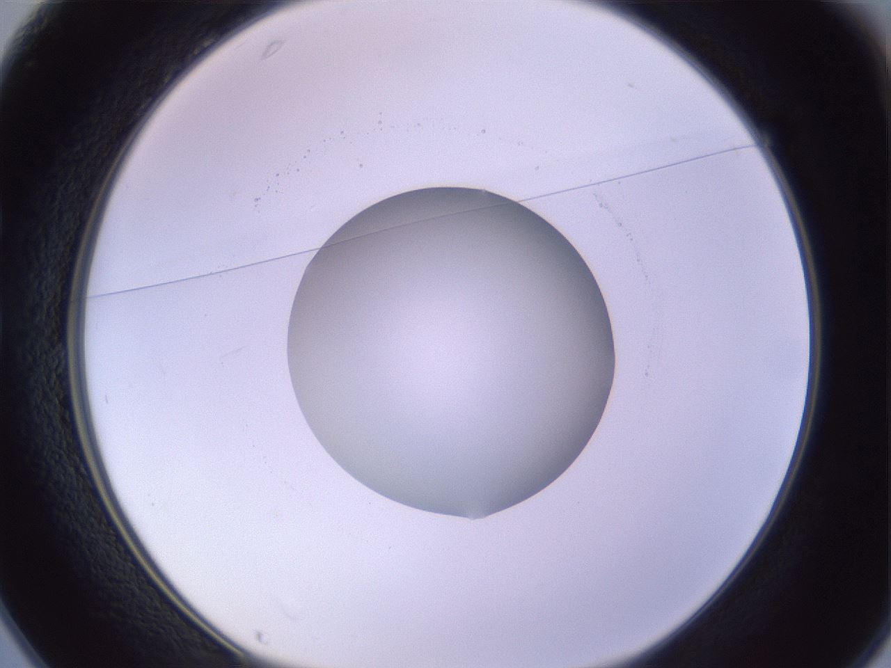 folderID421_plateID1421_batchID5196_wellNum25_profileID1_d1_r87306_ef.jpg