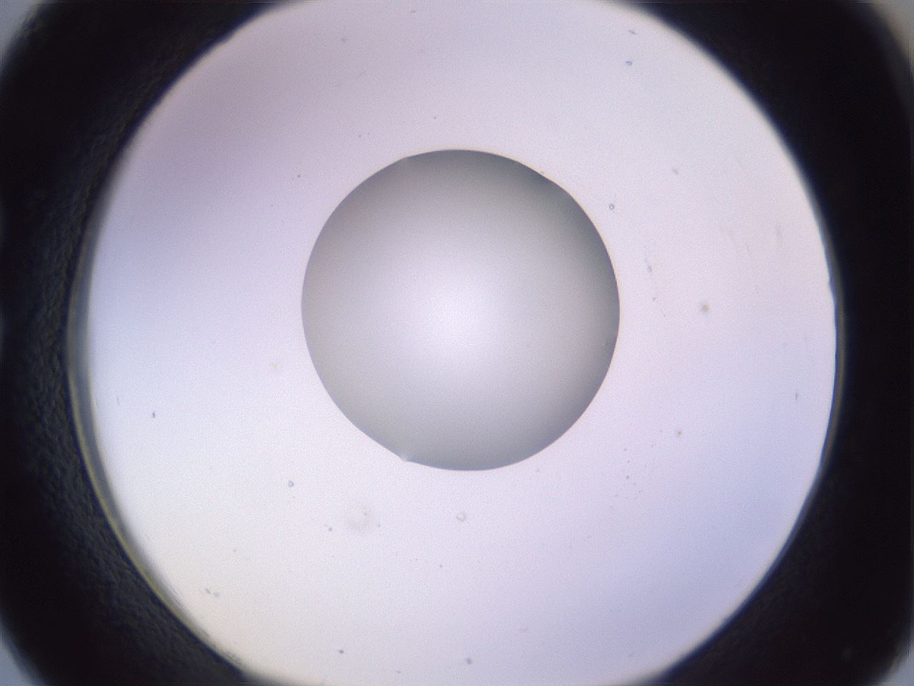 folderID421_plateID1421_batchID5196_wellNum26_profileID1_d1_r87307_ef.jpg