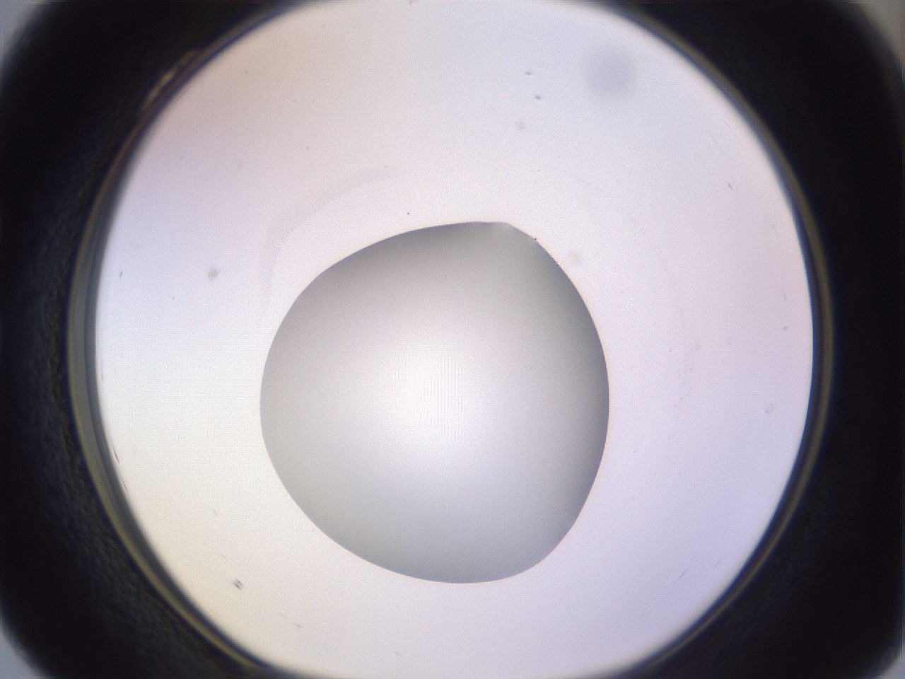 folderID421_plateID1421_batchID5196_wellNum28_profileID1_d1_r87309_ef.jpg