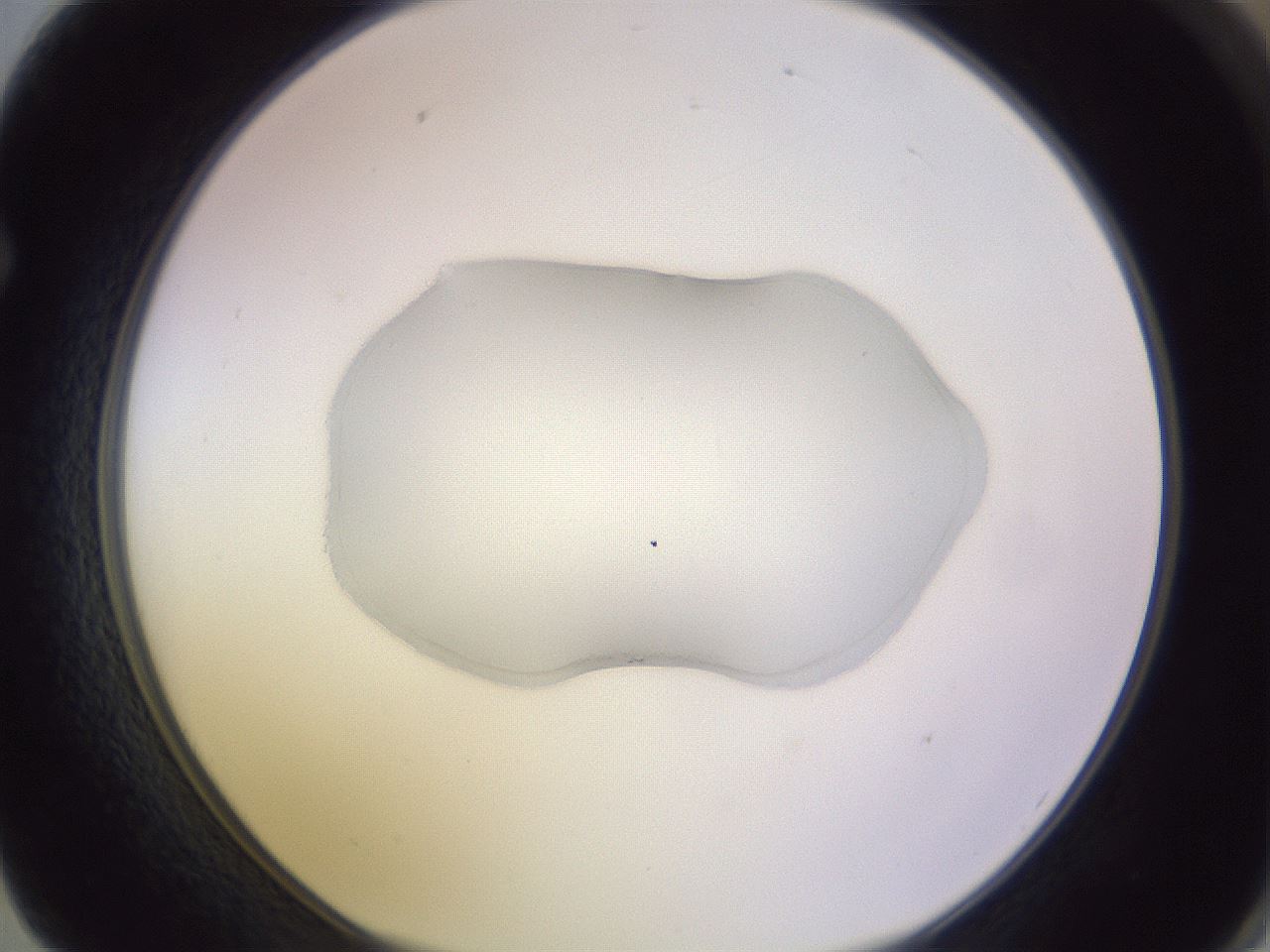 folderID421_plateID1421_batchID5196_wellNum62_profileID1_d1_r87343_ef.jpg