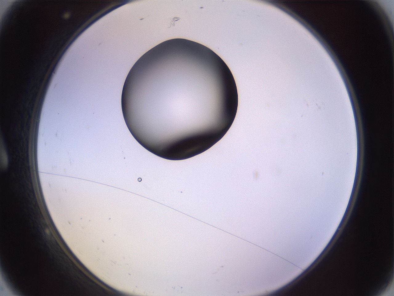 folderID421_plateID1421_batchID5196_wellNum9_profileID1_d1_r87290_ef.jpg