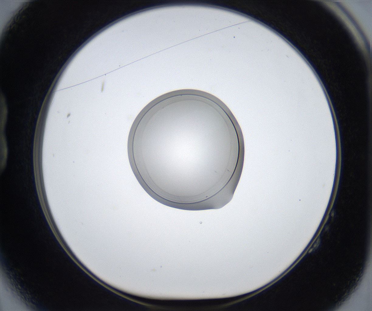 folderID421_plateID2421_batchID11662_wellNum14_profileID1_d1_r179674_ef.jpg