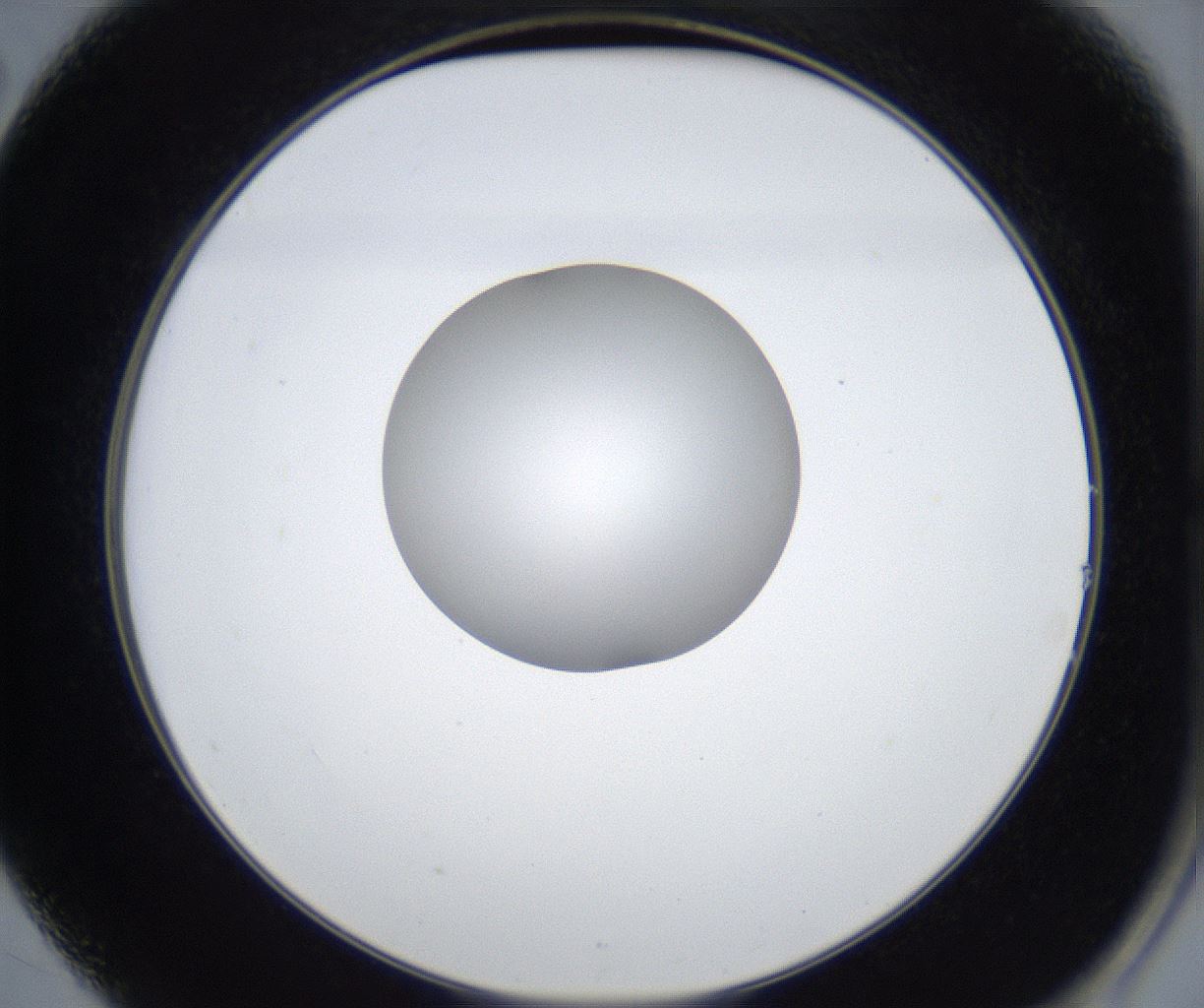 folderID421_plateID2421_batchID11662_wellNum14_profileID1_d2_r179675_ef.jpg