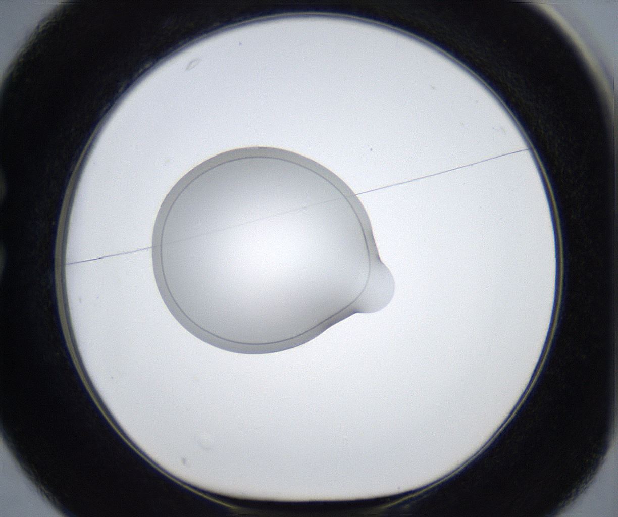 folderID421_plateID2421_batchID11662_wellNum25_profileID1_d1_r179696_ef.jpg