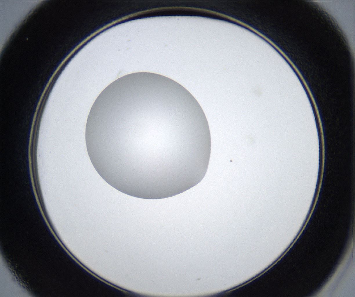 folderID421_plateID2421_batchID11662_wellNum25_profileID1_d2_r179697_ef.jpg