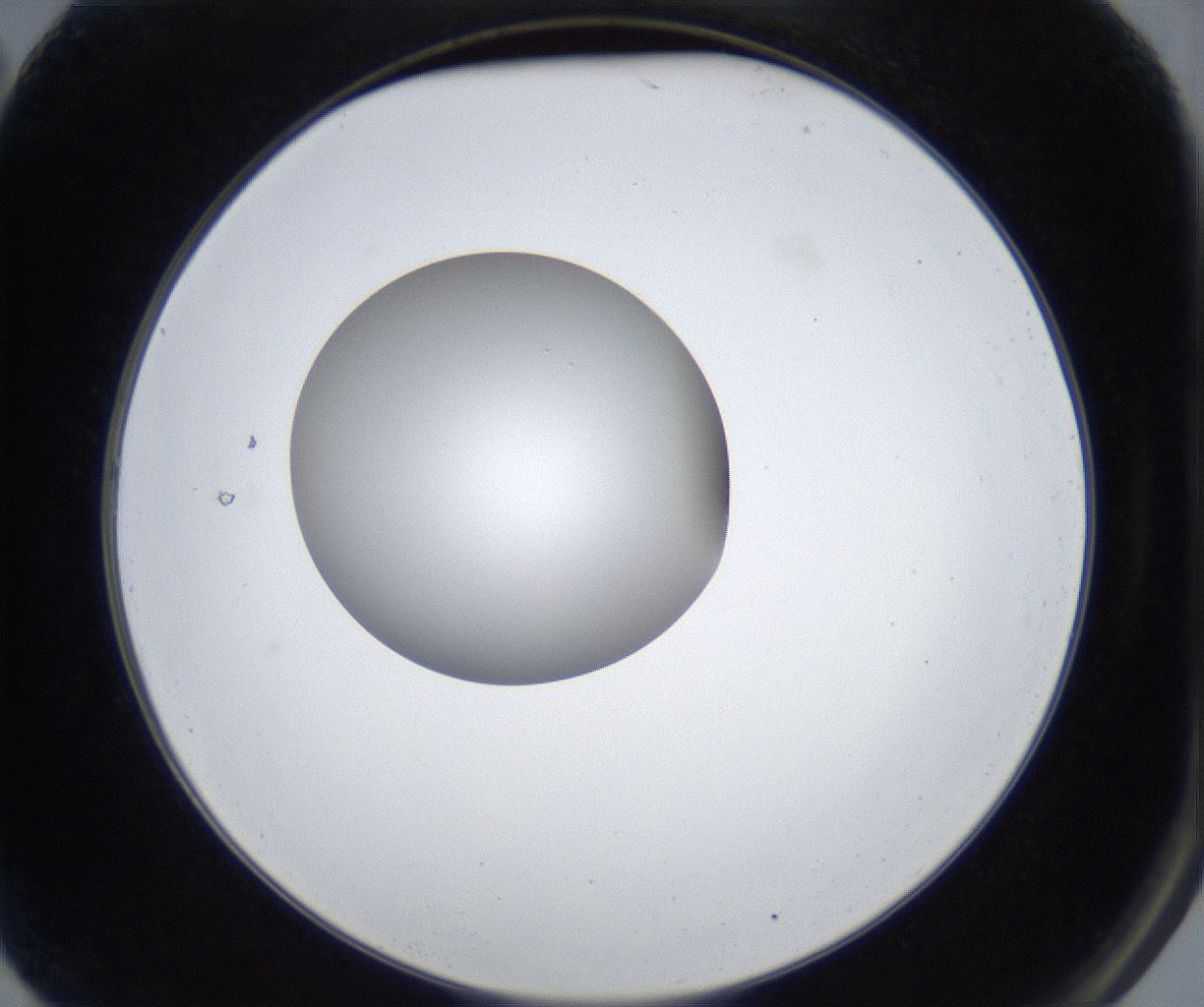 folderID421_plateID2421_batchID11662_wellNum2_profileID1_d2_r179651_ef.jpg