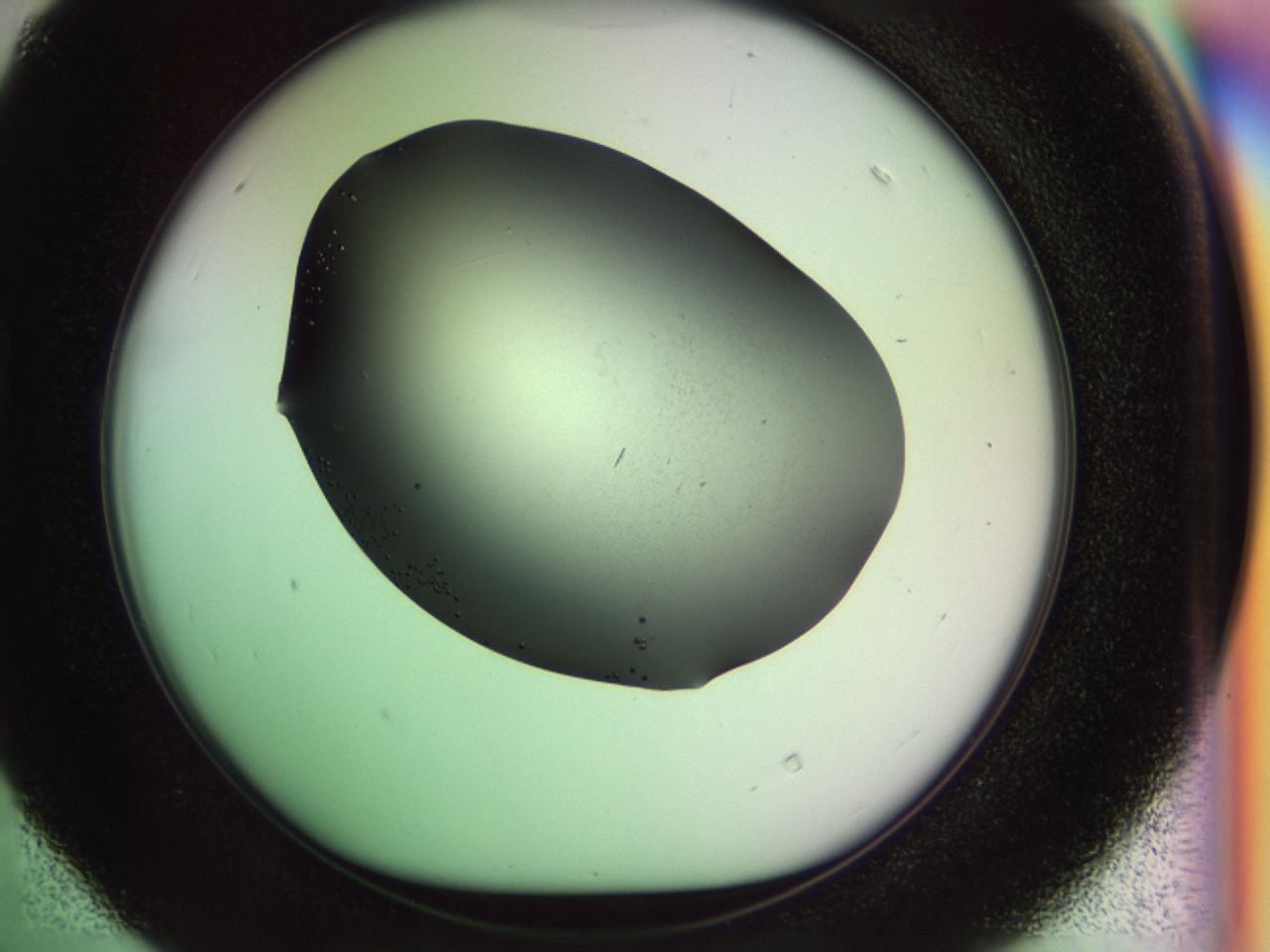 02n2_D4_ImagerDefaults_6.jpg