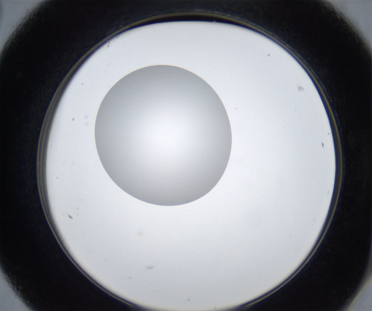 folderID421_plateID2421_batchID11662_wellNum68_profileID1_d2_r179783_ef.jpg