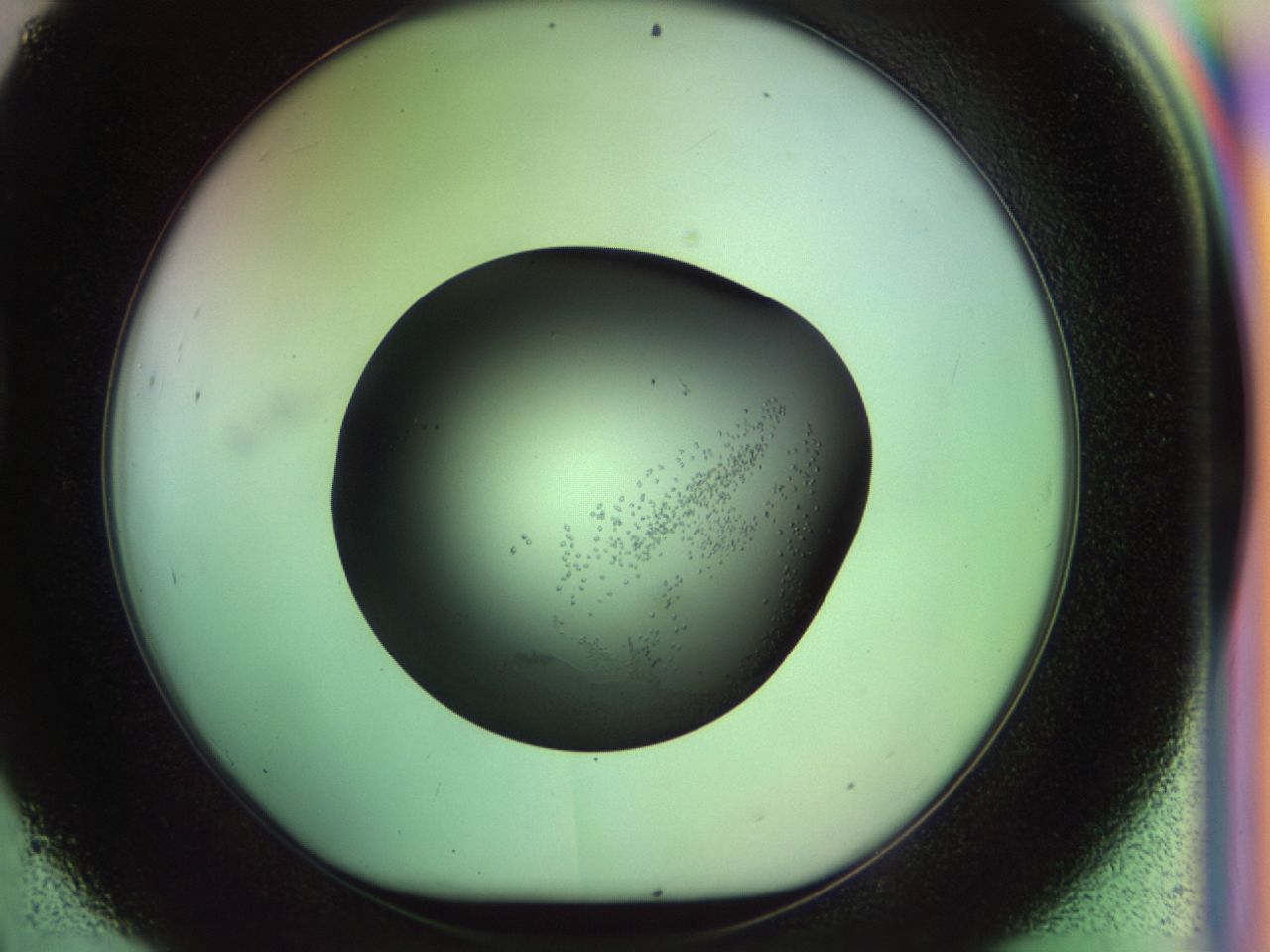 02n2_D9_ImagerDefaults_6.jpg