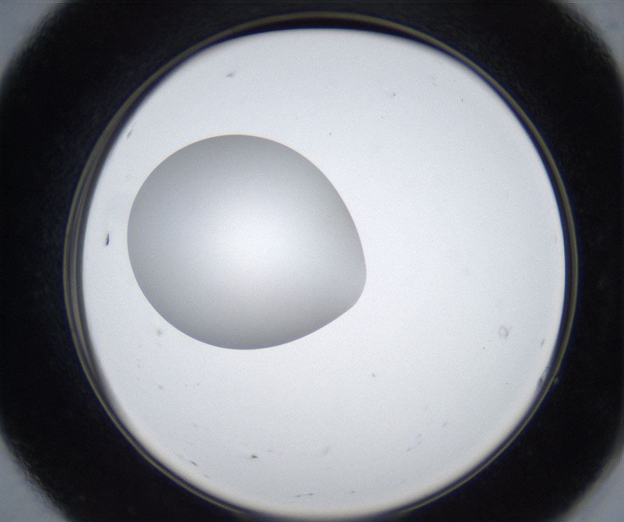 folderID421_plateID2421_batchID11662_wellNum7_profileID1_d2_r179661_ef.jpg