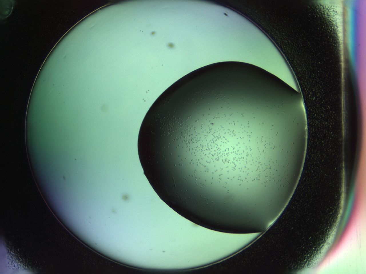 02n2_D11_ImagerDefaults_6.jpg