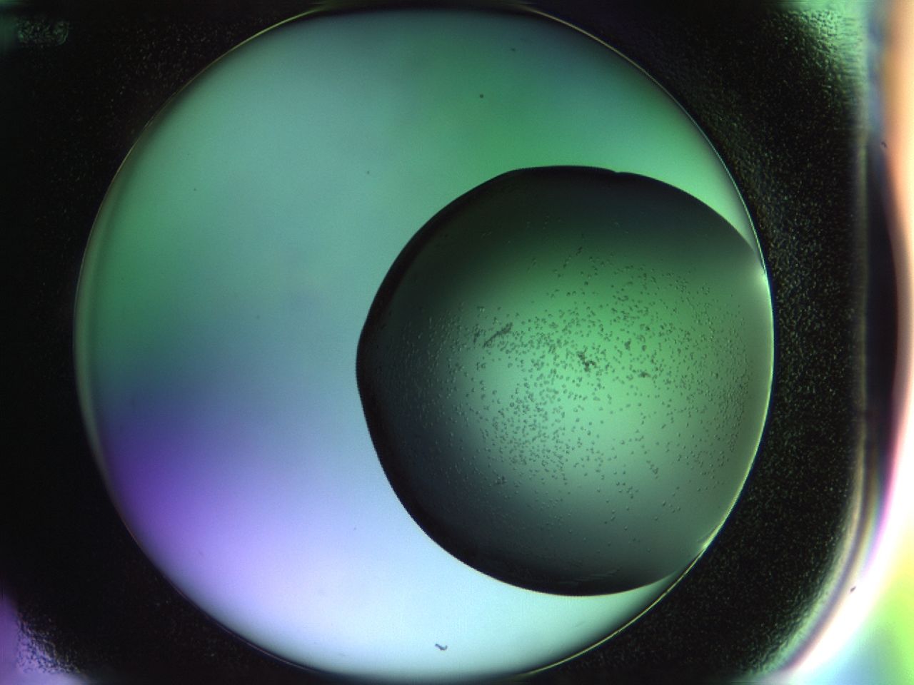 02n2_D12_ImagerDefaults_6.jpg