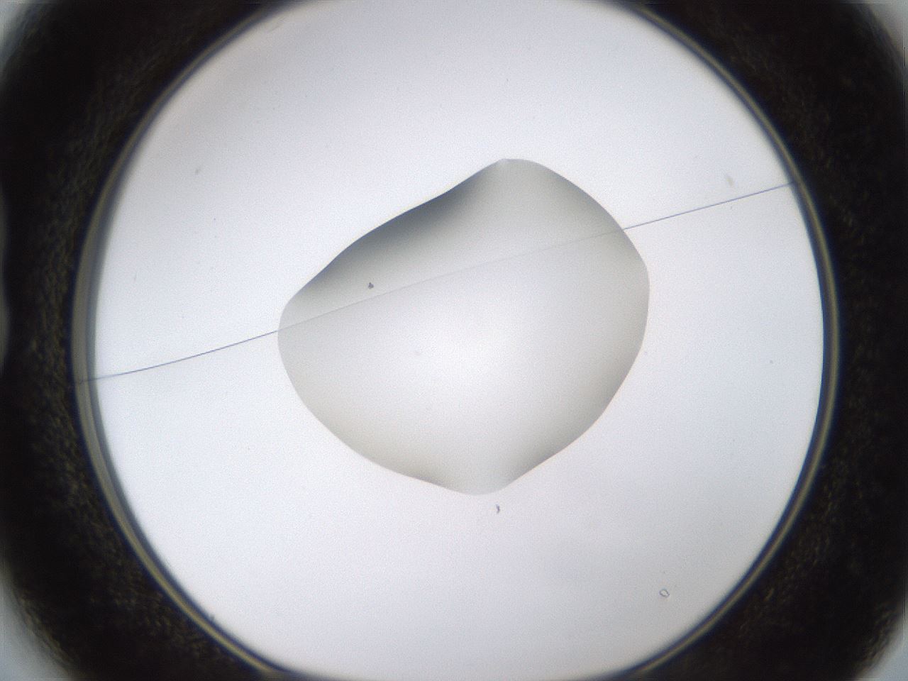 folderID422_plateID1422_batchID5193_wellNum13_profileID1_d1_r87390_ef.jpg