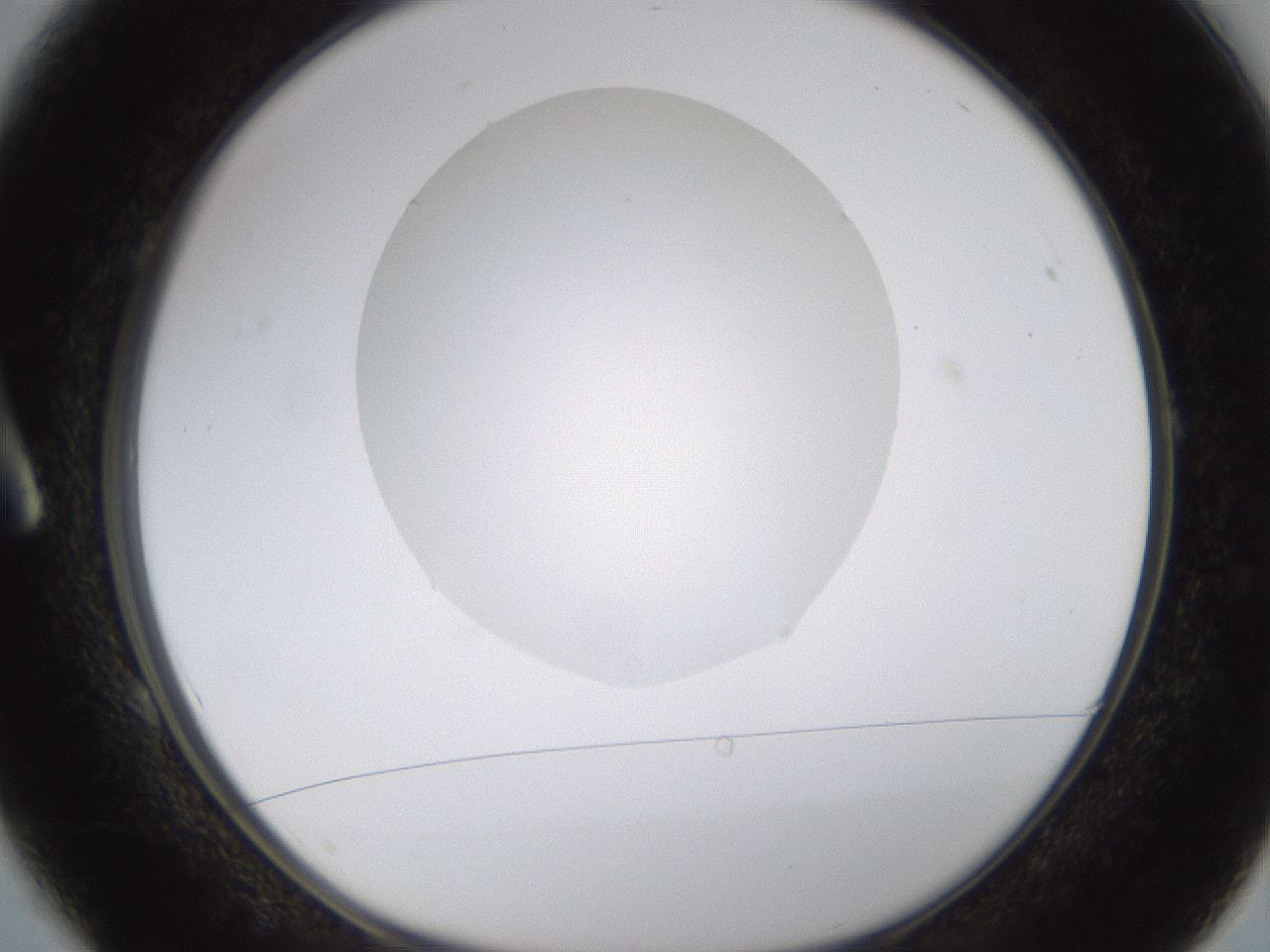 folderID422_plateID1422_batchID5193_wellNum1_profileID1_d1_r87378_ef.jpg