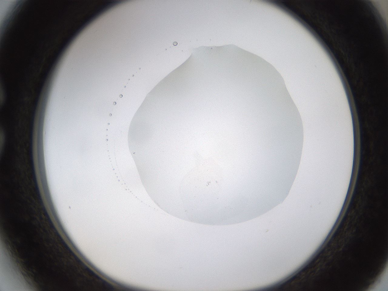 folderID422_plateID1422_batchID5193_wellNum27_profileID1_d1_r87404_ef.jpg