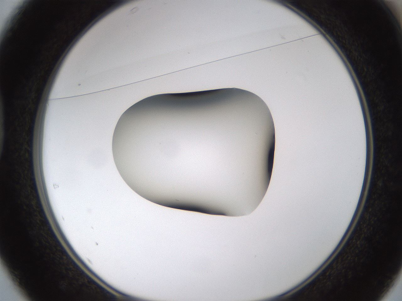 folderID422_plateID1422_batchID5193_wellNum37_profileID1_d1_r87414_ef.jpg