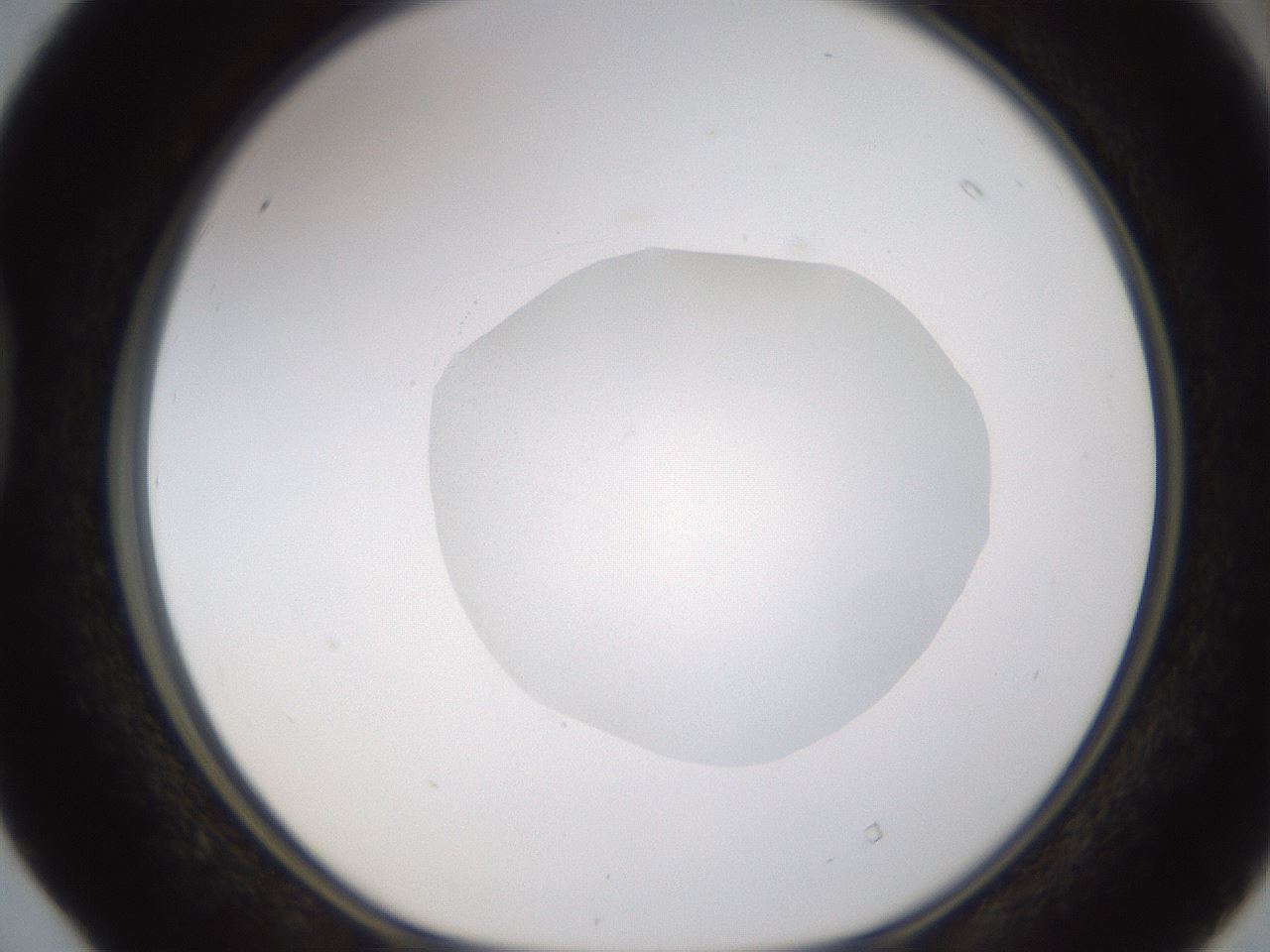 folderID422_plateID1422_batchID5193_wellNum40_profileID1_d1_r87417_ef.jpg