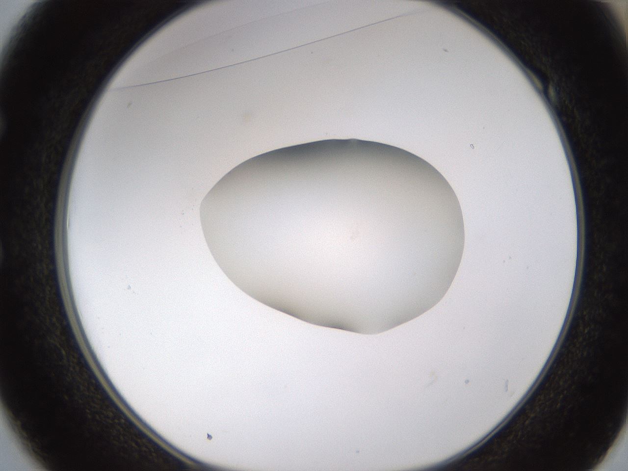 folderID422_plateID1422_batchID5193_wellNum49_profileID1_d1_r87426_ef.jpg