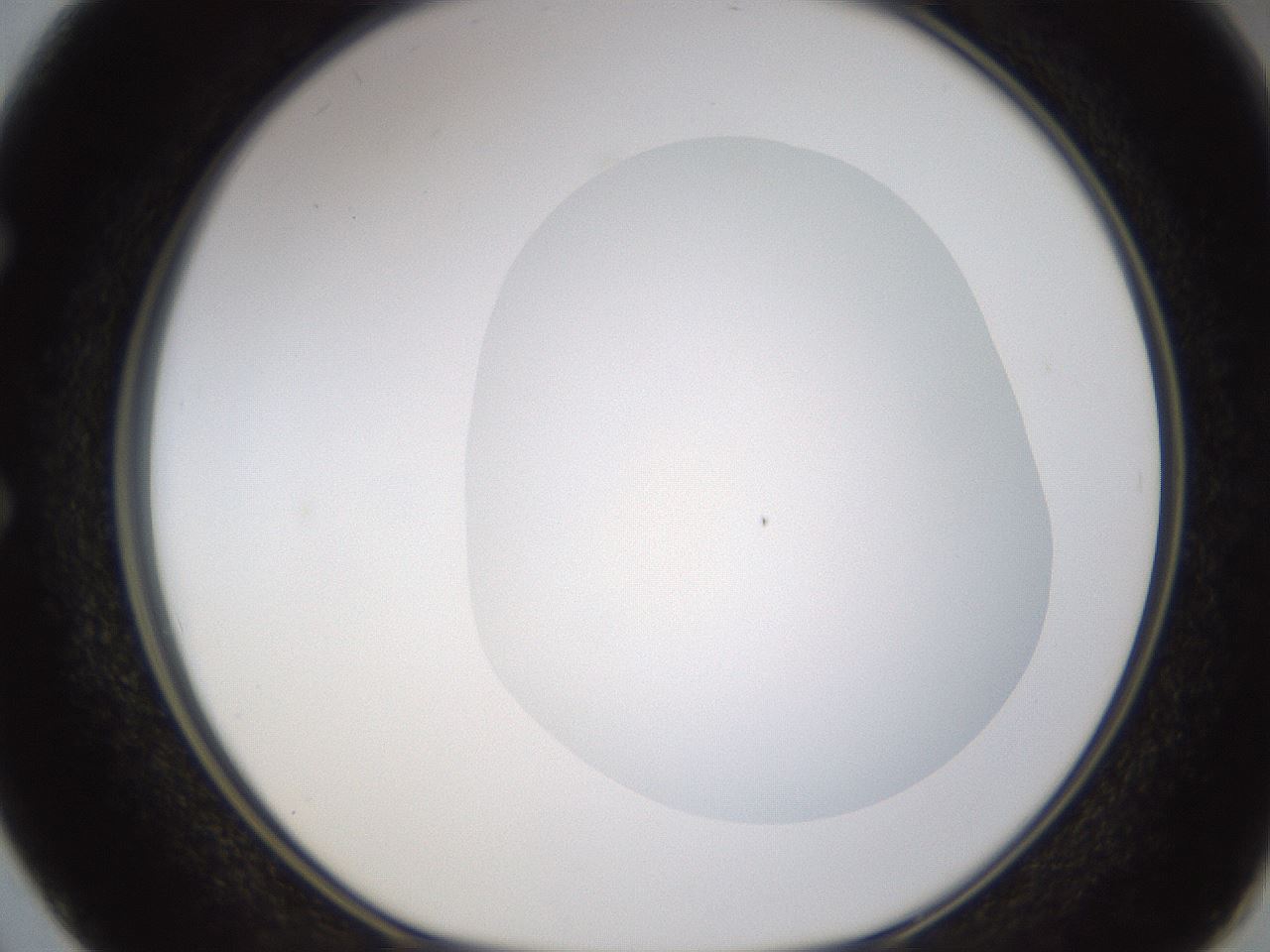 folderID422_plateID1422_batchID5193_wellNum50_profileID1_d1_r87427_ef.jpg