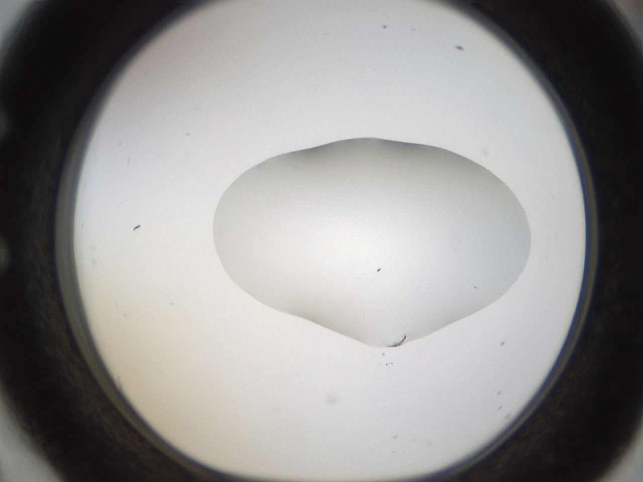 folderID422_plateID1422_batchID5193_wellNum54_profileID1_d1_r87431_ef.jpg