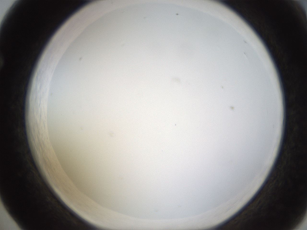 folderID422_plateID1422_batchID5193_wellNum65_profileID1_d1_r87442_ef.jpg