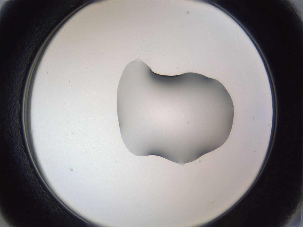 folderID42_plateID1042_batchID2099_wellNum13_profileID1_d2_r45793_ef.jpg