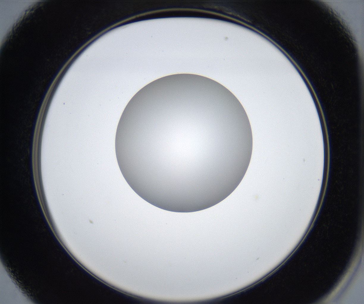folderID422_plateID2422_batchID11663_wellNum13_profileID1_d2_r179865_ef.jpg