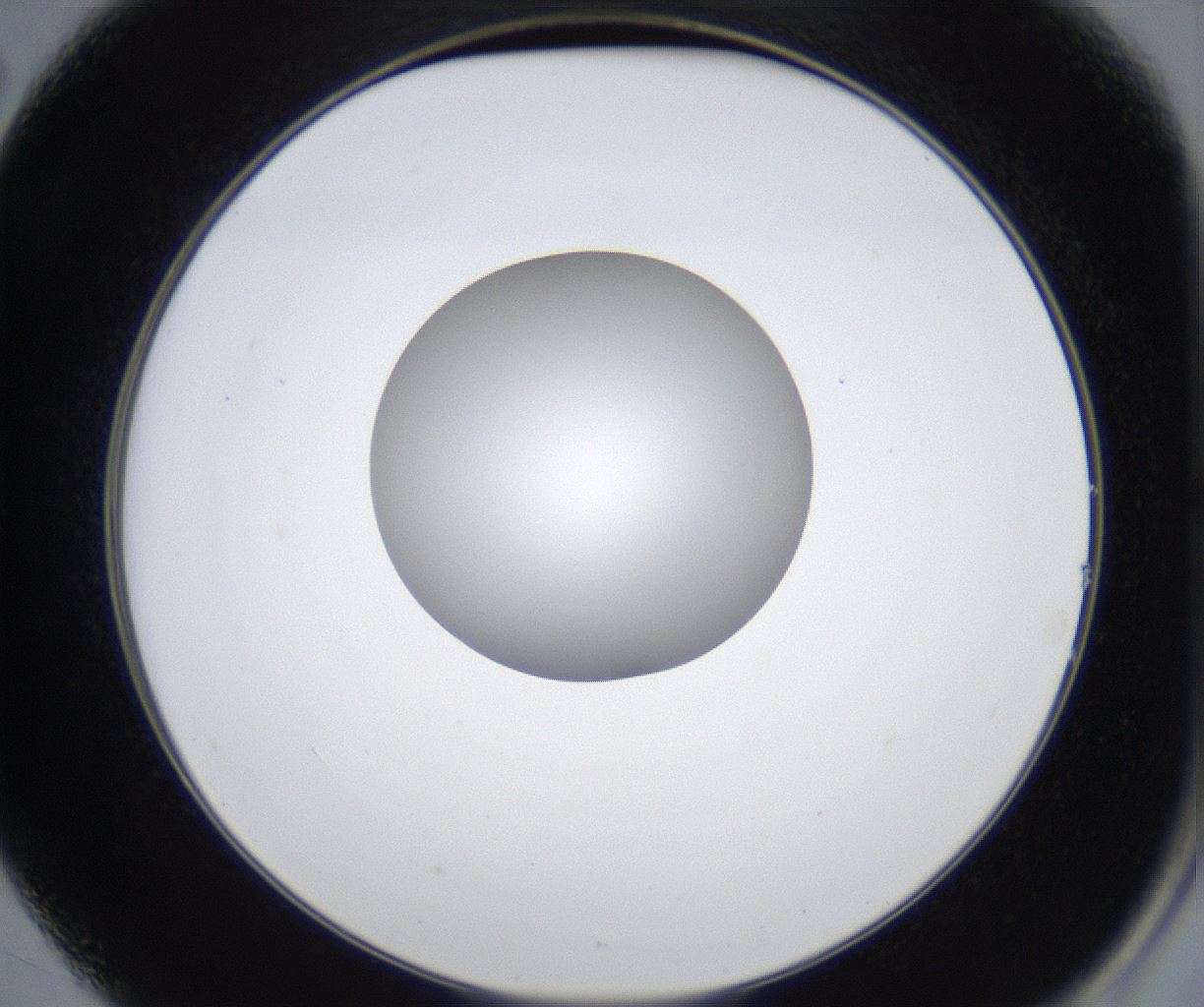 folderID422_plateID2422_batchID11663_wellNum14_profileID1_d2_r179867_ef.jpg
