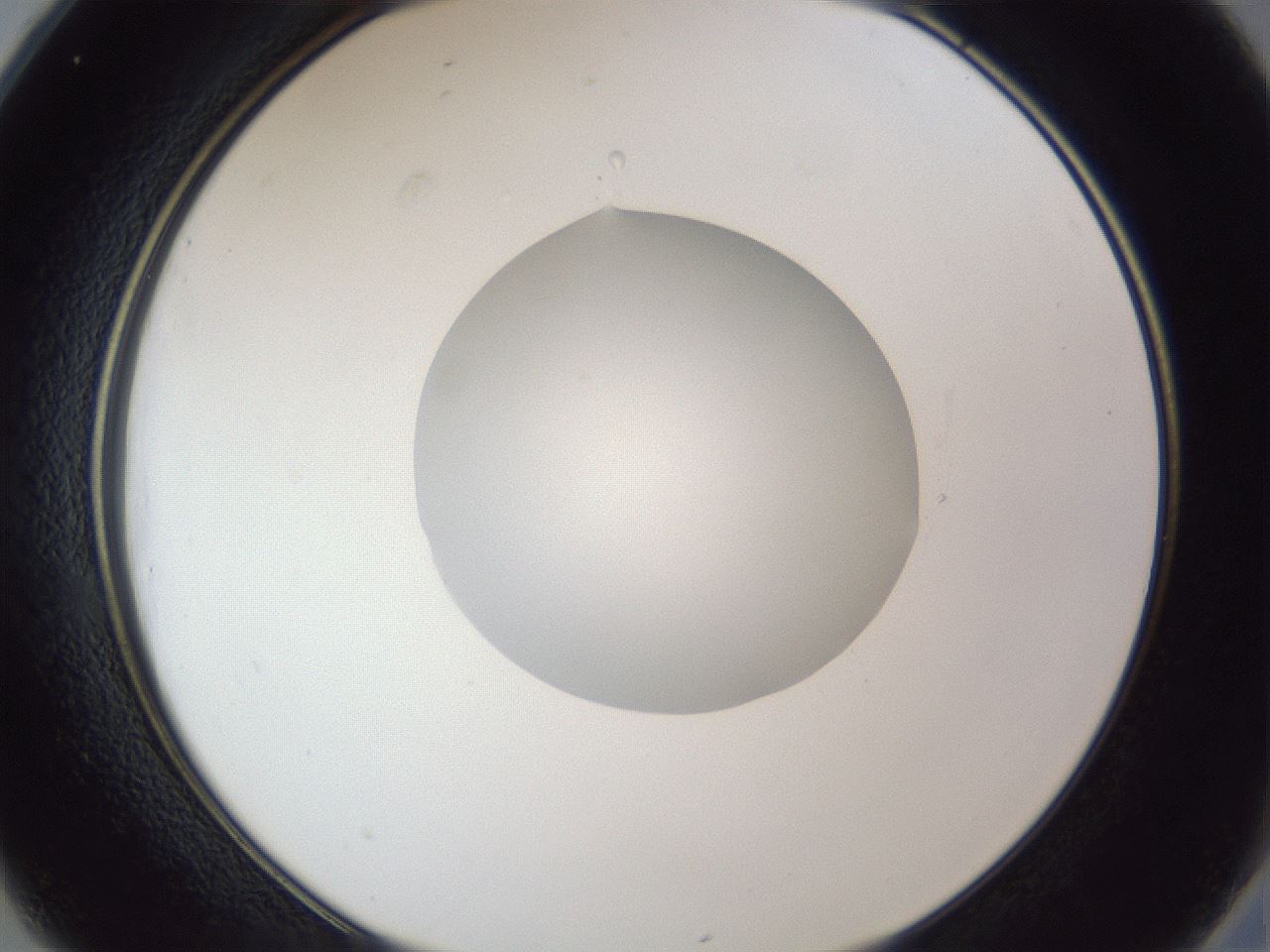 folderID42_plateID1042_batchID2099_wellNum25_profileID1_d2_r45817_ef.jpg