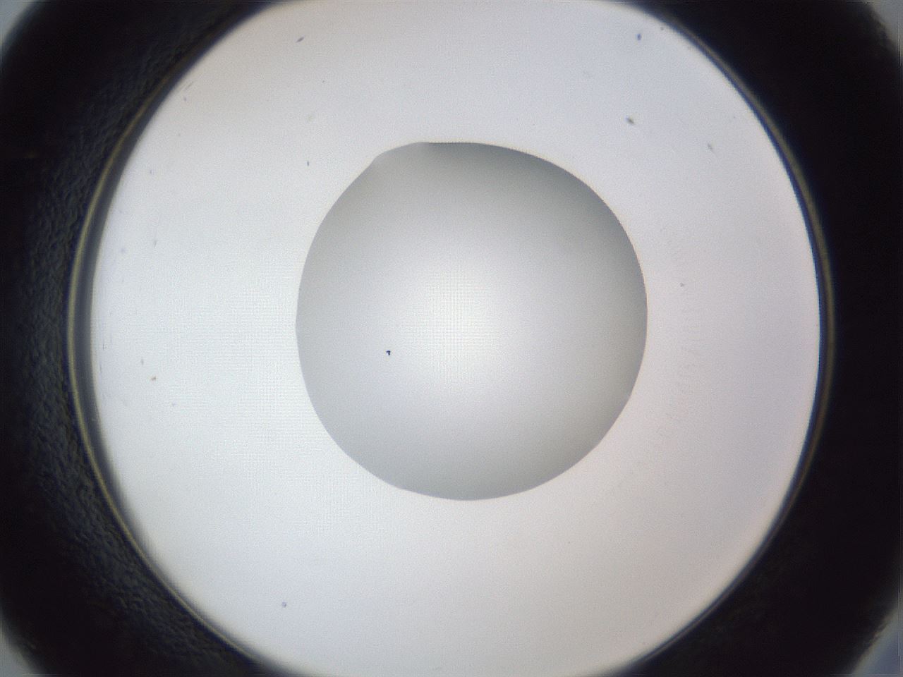 folderID42_plateID1042_batchID2099_wellNum26_profileID1_d2_r45819_ef.jpg