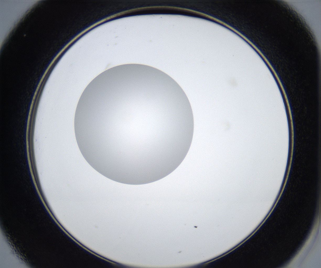 folderID422_plateID2422_batchID11663_wellNum25_profileID1_d2_r179889_ef.jpg
