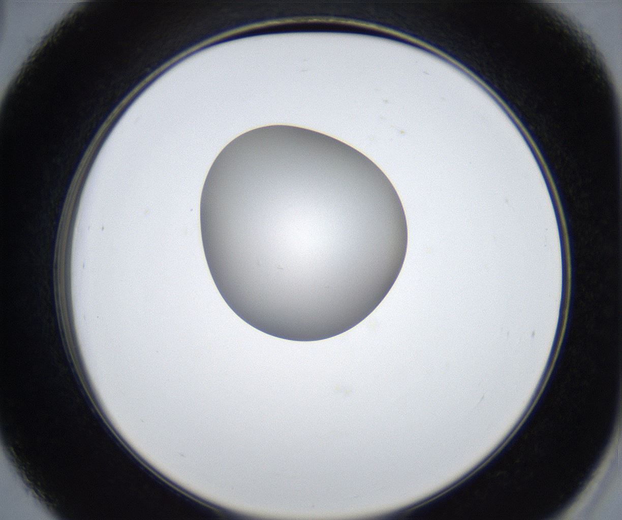folderID422_plateID2422_batchID11663_wellNum39_profileID1_d2_r179917_ef.jpg
