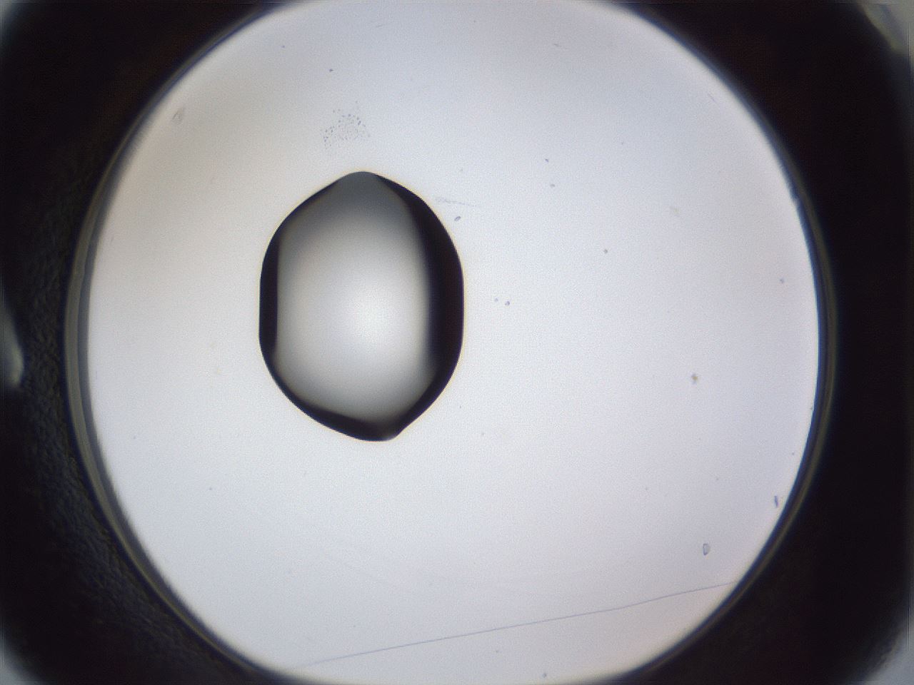 folderID42_plateID1042_batchID2099_wellNum3_profileID1_d1_r45772_ef.jpg
