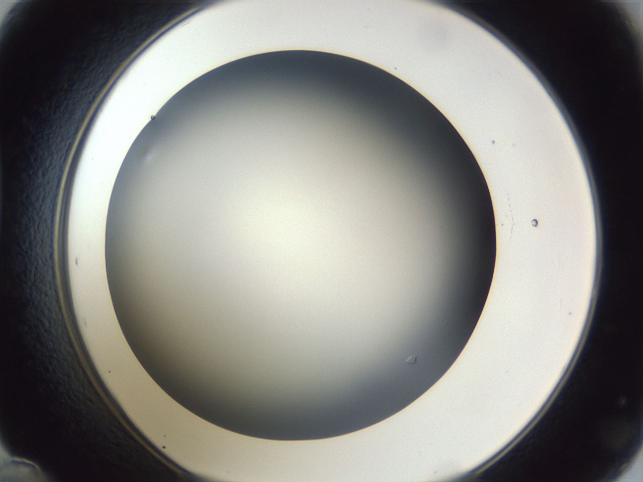 folderID42_plateID1042_batchID2099_wellNum48_profileID1_d1_r45862_ef.jpg