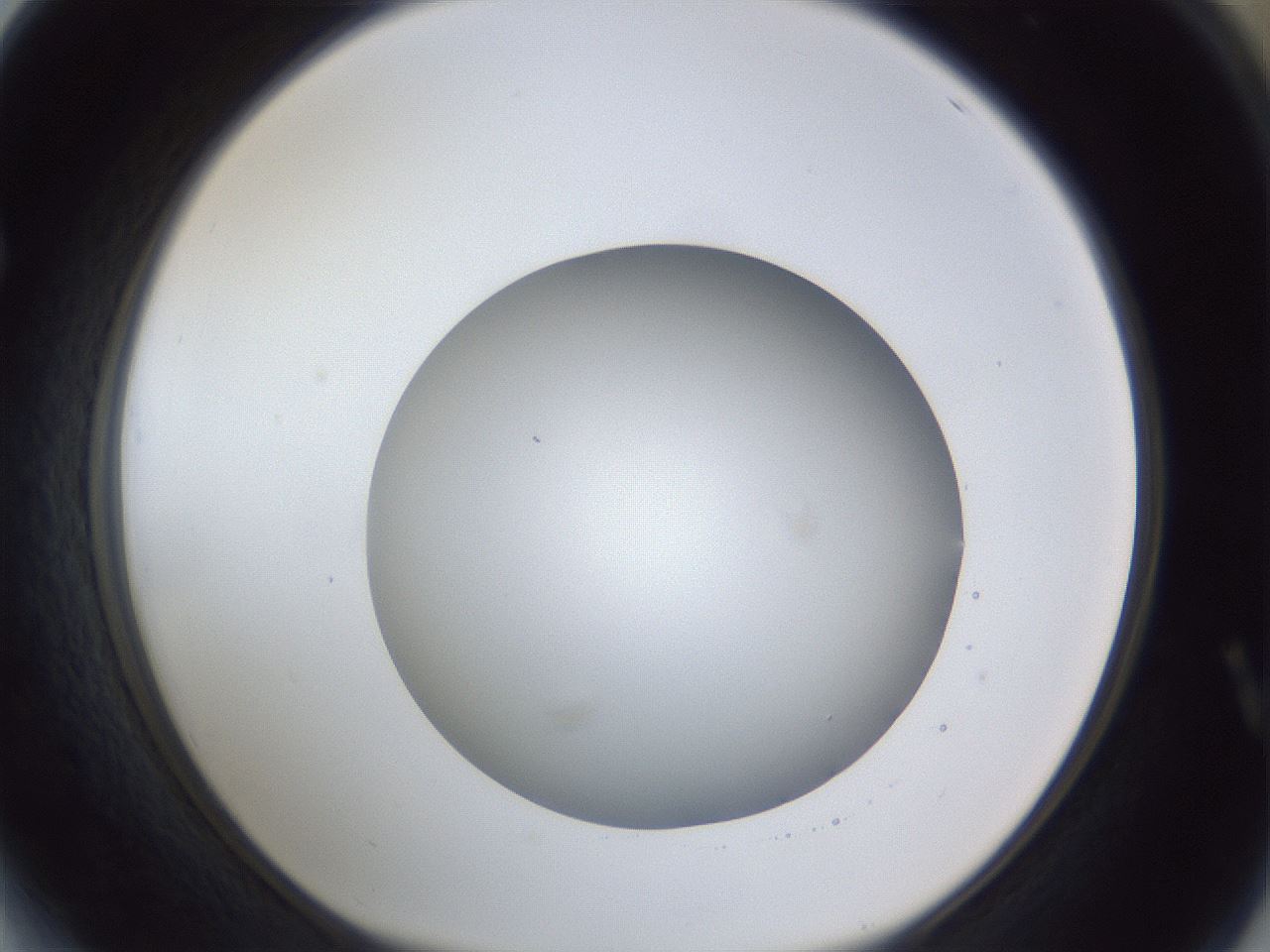 folderID42_plateID1042_batchID2099_wellNum64_profileID1_d1_r45894_ef.jpg