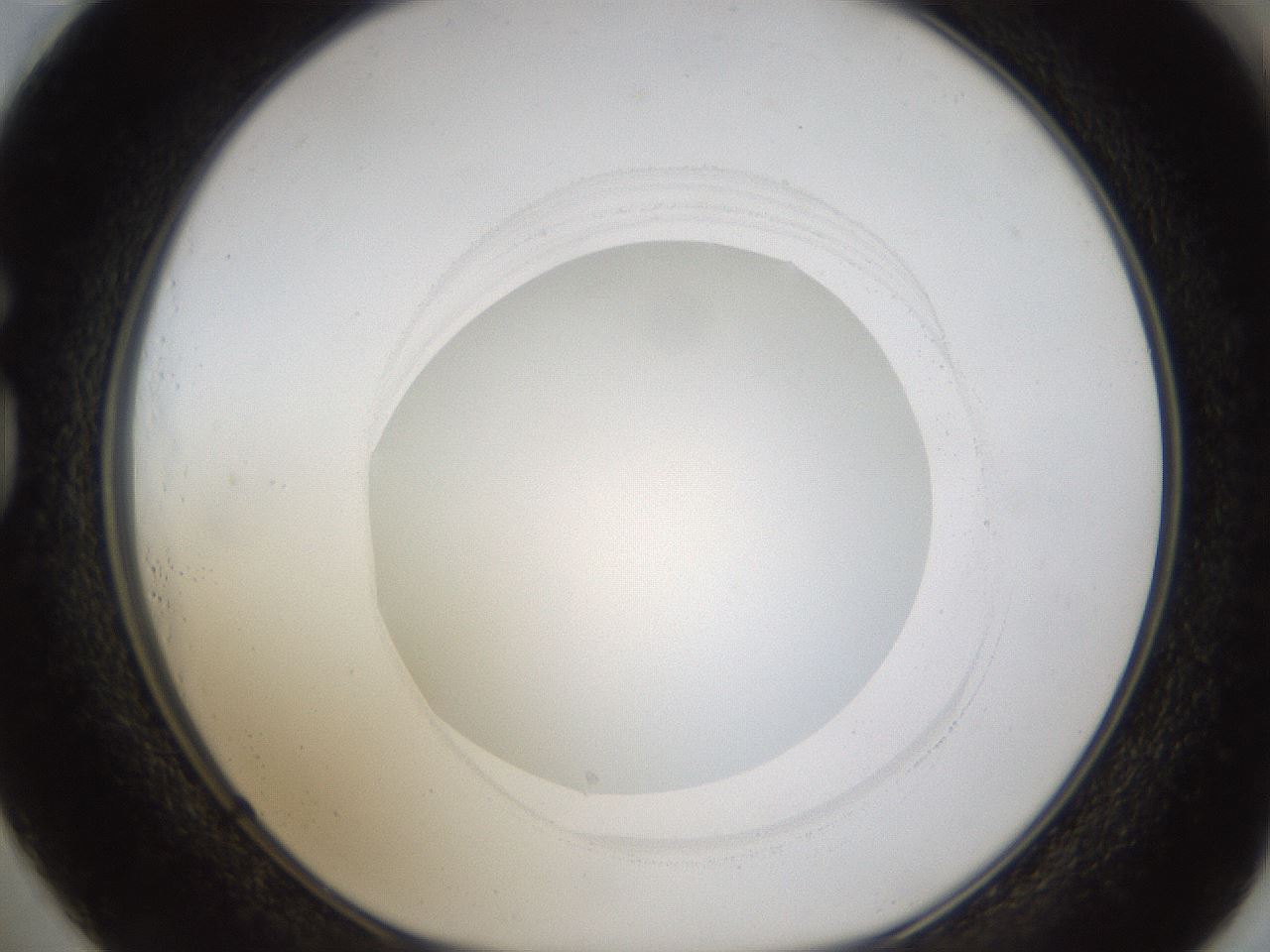 folderID424_plateID1424_batchID5190_wellNum73_profileID1_d1_r87162_ef.jpg