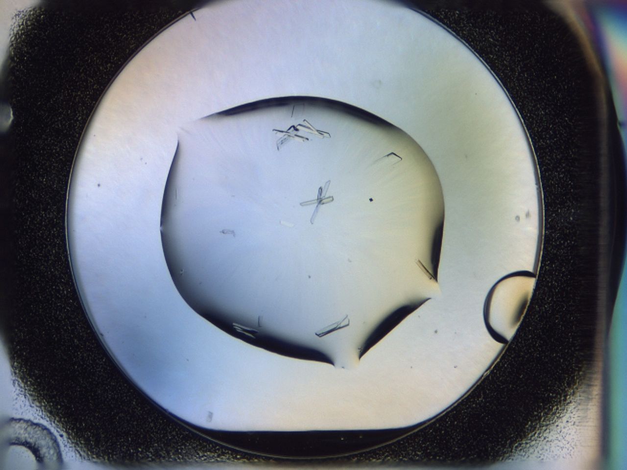 02n3_F10_ImagerDefaults_9.jpg