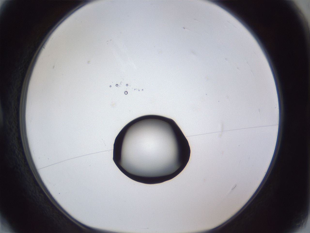 folderID42_plateID1042_batchID2099_wellNum4_profileID1_d1_r45774_ef.jpg